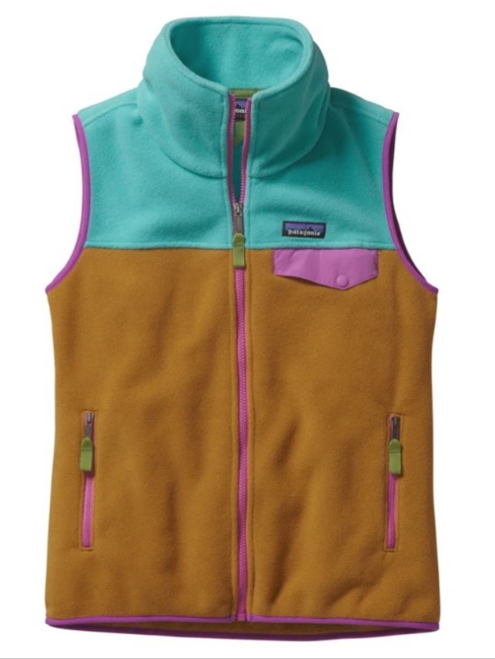 Women's Patagonia Synchilla Colorblock Fleece Vest